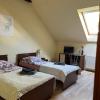 Apartament Orle Gniazdo