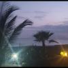 Tortuga B&B