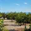 Finca el Vinche