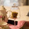 Bees B & B-V