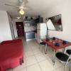 Appartement Cap d'Agde naturisme, 1 pièce, 2 personnes - FR-1-249A-25