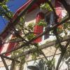 Villa Le Nid proche plage