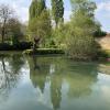 Gîte au bord de lOrne avec jardin et pêche, Animaux admis - FR-1-410-323