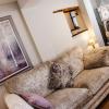 Whispering Place Georgian Grade II Sleeps 6 Adults 3 mins from Safari Park & Steam Train