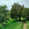 Quinta Vale do Cabo
