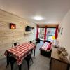 Appartement Villard-de-Lans, 2 pièces, 6 personnes - FR-1-515-199