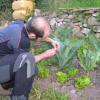 Hostal La Muntanya