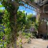 Wingham House - Pet Friendly