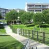 Apartment Belleview