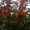 B&B del Castagneto