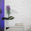 Hostal Alhambra - Adults Only