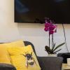 Sidney Grove B&B