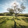 Alojamiento Rural Finca Barral
