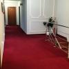 Hostel Orhideea