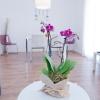 Apartamento Gaudí-Sant Pau