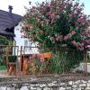 Guesthouse Milka