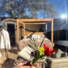 SUITE 19 BUBBLE BY CORTIJO COLOMO