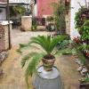 Casa Tenorio Barrio de Santa Cruz