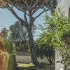 Pine House - Faro Airport, Beach and City Center