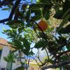 Finca Mamposo