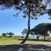Bel appartement avec piscine- Poggio Mezzana
