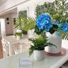 Pasithea Holiday Apartments