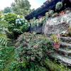 Apartamento en Plena Naturaleza