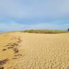 Studio in the dunes, 30 m from the beach