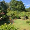 Un jardin en forêt