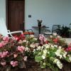 B&B Il Viandante