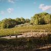 Finca Serena Mallorca, Small Luxury Hotels