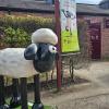 Shaun the Sheep