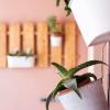 Onar Syros - Rustic Rooms