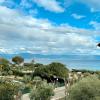 Charming 37 m nest near the sea