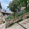 La vecchia vite casa vacanze