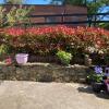 Fitzgeralds Farmhouse Accommodation V94 YY47
