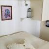 Studio Saint-Martin-de-Ré, 2 pièces, 4 personnes - FR-1-544-25