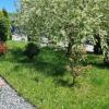 Salt Orchid Apartments