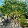 Gîte Aiguilhe, 2 pièces, 4 personnes - FR-1-582-354