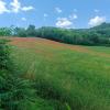 Monte Bibele