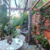 Petro's Antique House