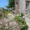 Au grès des pins