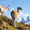 Ladrilleros 105, Puerto Natales, Chile.