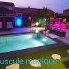 A nice villa with pool and spa, cool garden!