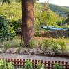 Casa vacanze I PINI E IL CILIEGIO