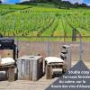Au pied des vignes, cocon douillet et chaleureux !