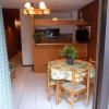 Appartement Châtel, 2 pièces, 4 personnes - FR-1-676-125