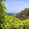 Close to Gigaro beach, surrounded by nature