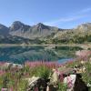 Appart 6 pers avec piscine