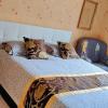 Chambre dans maison individuelle
